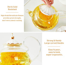 Load image into Gallery viewer, DUJUST Blooming Tea Pot Set