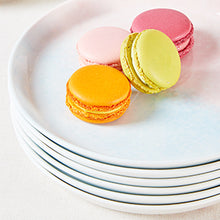 Load image into Gallery viewer, Pastel Pink & Blue Porcelain Dinner Plates of 6