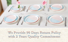 Load image into Gallery viewer, Pastel Pink & Blue Porcelain Dinner Plates of 6